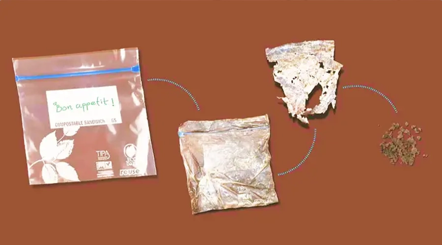 biodegradable packaging eco-friendly plastic bags compostable materials Biodegradable Packaging, A Sustainable Step Forward